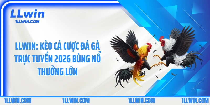 LLWIN: Kèo Cá Cược Đá Gà Trực Tuyến 2026 Bùng Nổ Thưởng Lớn
