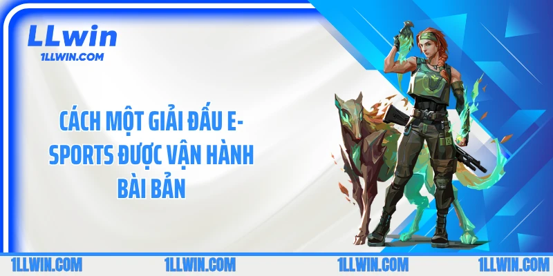 Cách một giải đấu E-sports được vận hành bài bản