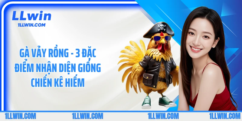 Gà Vảy Rồng - 3 Đặc Điểm Nhận Diện Giống Chiến Kê Hiếm