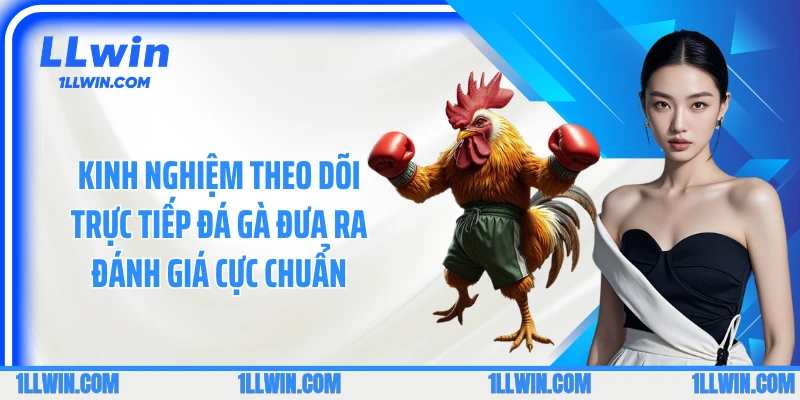 Kinh nghiệm theo dõi trực tiếp đá gà đưa ra đánh giá cực chuẩn