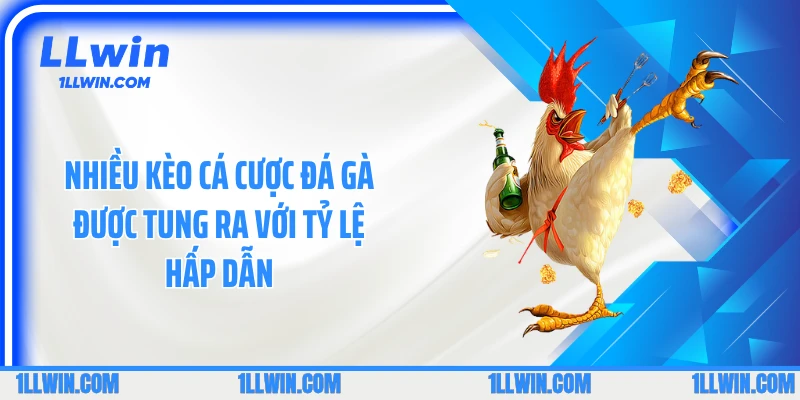 Nhiều kèo cá cược đá gà được tung ra với tỷ lệ hấp dẫn